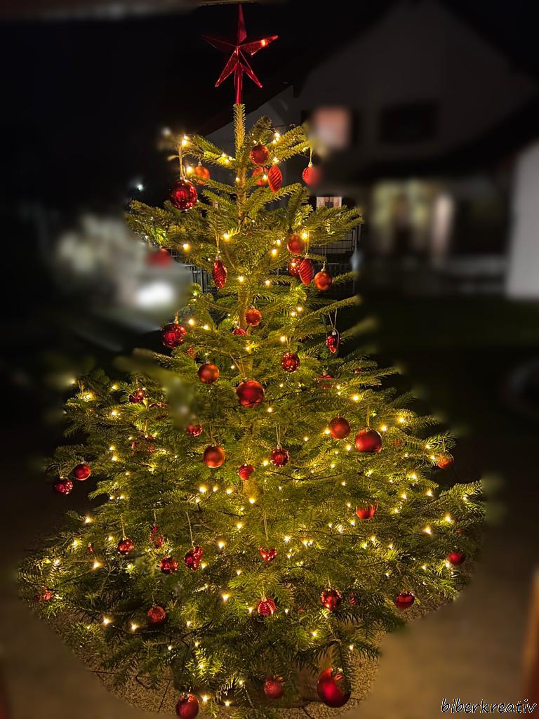Weihnachtsbaum_2021