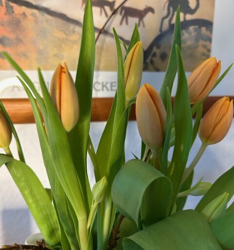 Friday-Flowerday2/23