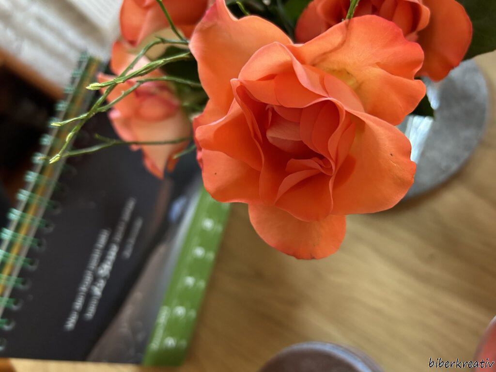 Friday-Flowerday#01/23