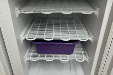 Zeigetag-1