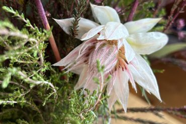 FridayFlowerday4523