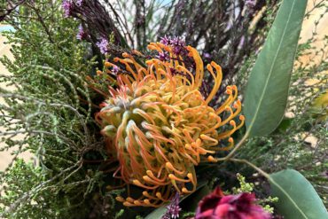 FridayFlowerday4523