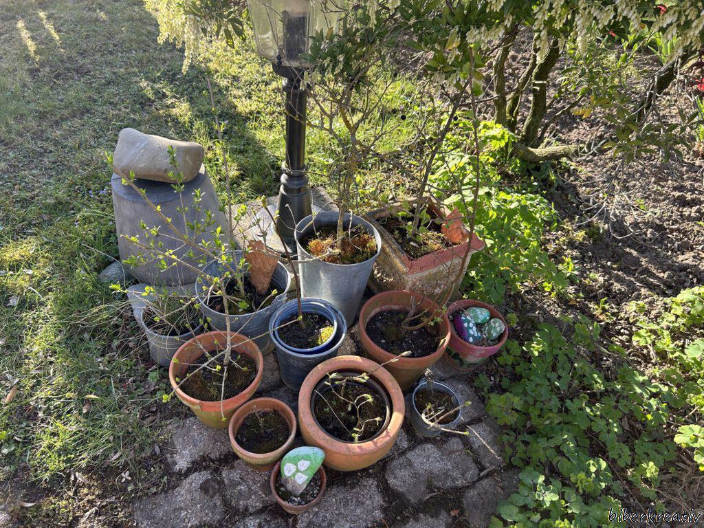 12v12-Apr25